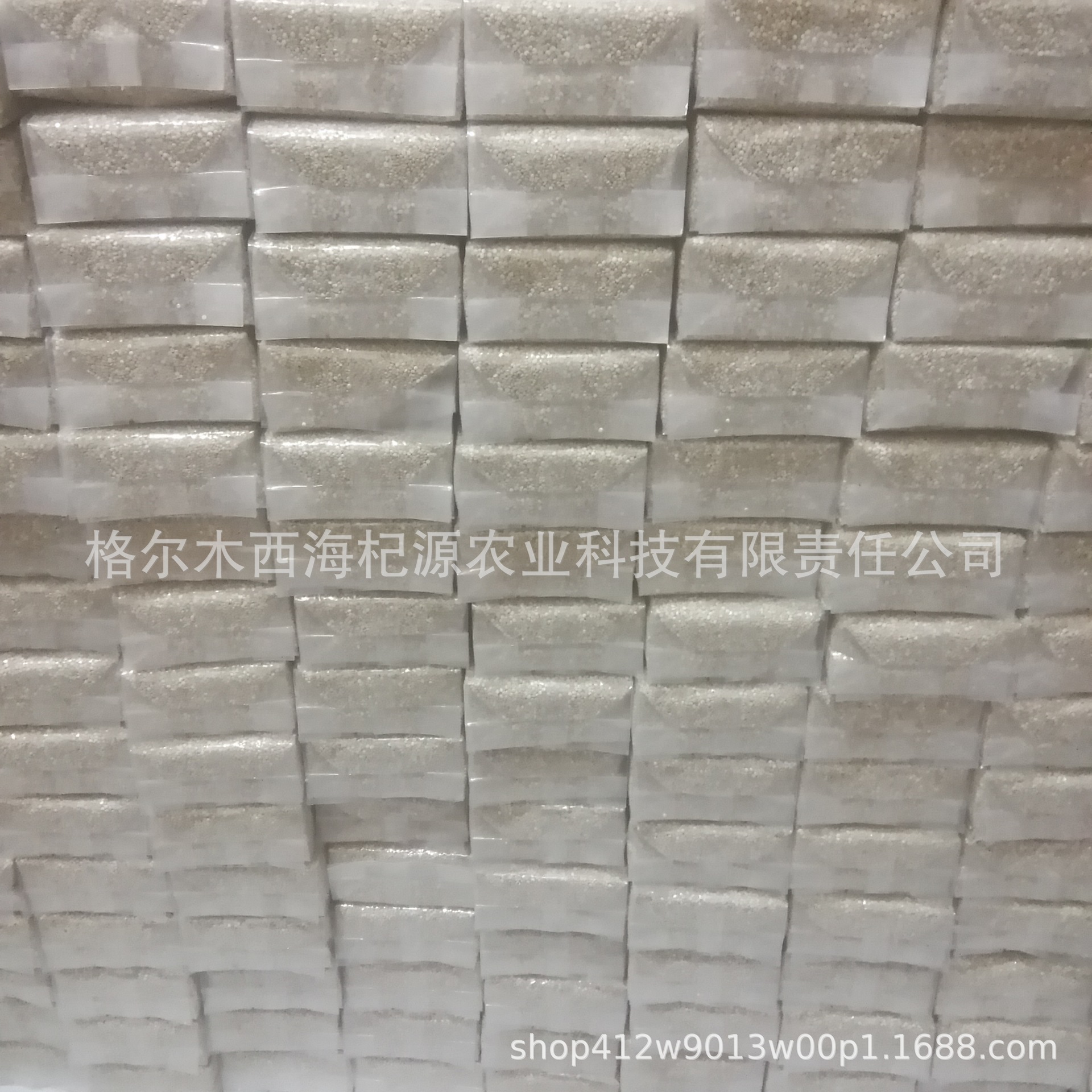 白藜麦反面
