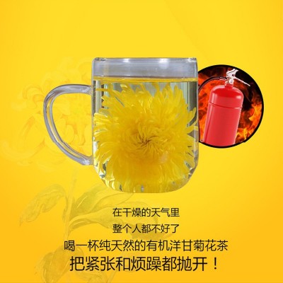 新货批发袋装黄山 金丝皇菊 产地货源金丝菊花茶一朵一杯金丝黄菊图4