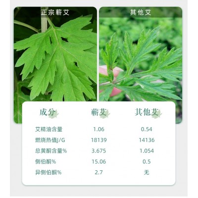 蕲艾条三年陈艾条黄金艾绒制作多比例艾条艾草工厂批发艾条代发图4