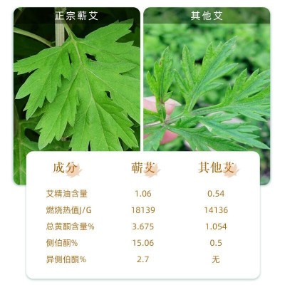 蕲艾绒三年陈艾黄金艾绒多比例批发艾灸馆直供艾绒艾条艾柱原材料图4