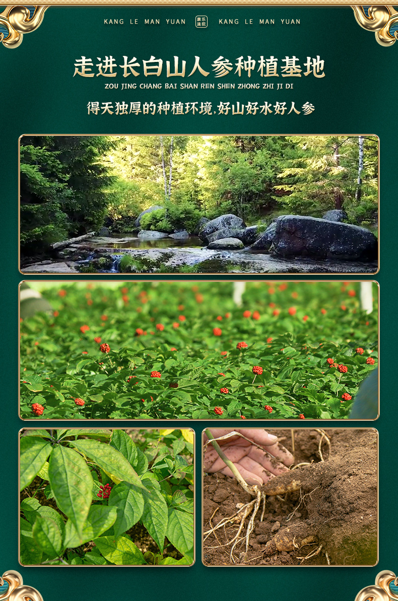 阳小僧-详情页_03.jpg