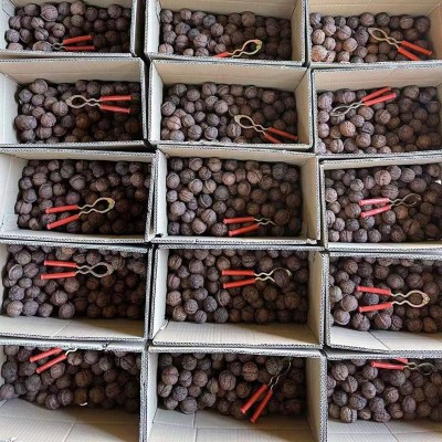 云南大理漾濞新果孕妇坚果零食薄皮干核桃9斤 新鲜纸皮干核桃图5