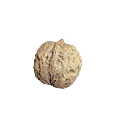 云南大理漾濞新果孕妇坚果零食薄皮干核桃9斤 新鲜纸皮干核桃图4