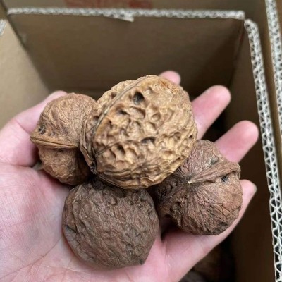 云南大理漾濞新果孕妇坚果零食薄皮干核桃9斤 新鲜纸皮干核桃图2