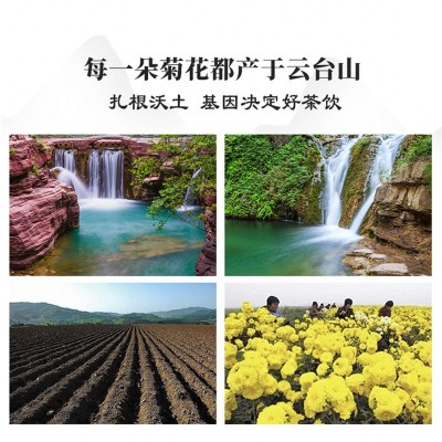 怀明堂 冰菊花礼盒28朵图4