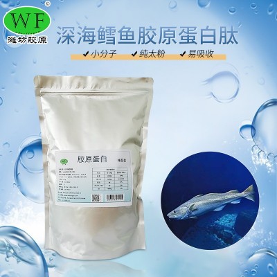 鳕鱼鱼胶原蛋白小分子胶原蛋白肽 胶原蛋白肽粉固体饮料厂家