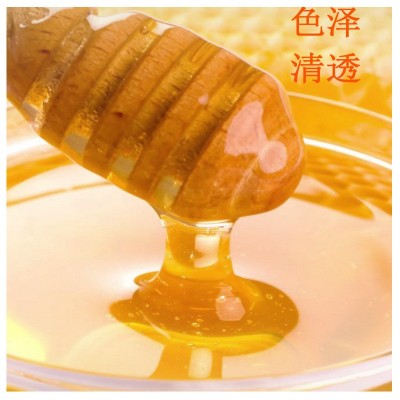 液态小瓶蜂蜜 百花蜂蜜 批发枣花蜜土蜂蜜洋槐 原蜜一件代发批发图3