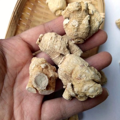 国产西洋参粒头软质长白山花旗参条西洋参批发个条段切片东北特产图2