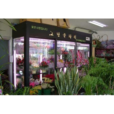 冷柜批发 鲜花保鲜柜 鲜花保湿柜 鲜花冷藏柜 鲜花展示柜图1