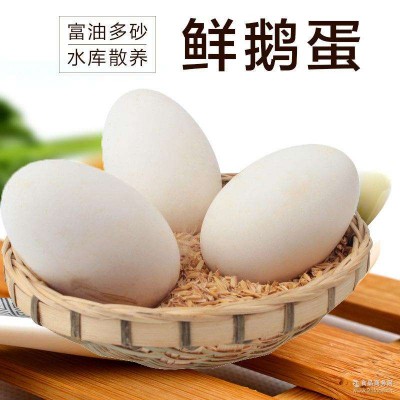 南通生态鹅蛋销售