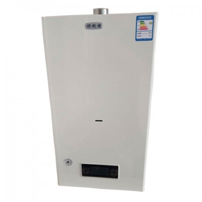 燃气采暖炉20kw
