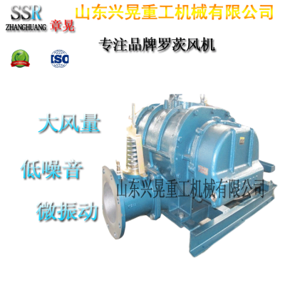 罗茨风机转子间隙发生摩擦碰撞的原因图1