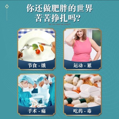 白芸豆冬瓜荷叶茶 白芸豆膳食纤维片断碳水饱腹少油抖音爆款图4