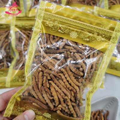 冬虫夏草 干虫草大断草批发虫草货源招代理可代发图5