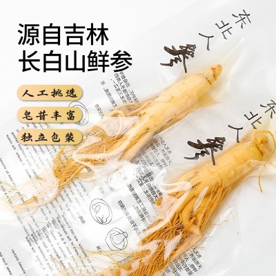 长白山人参批发人参补品东北保鲜参 泡酒煲汤一件代发源头人参图3