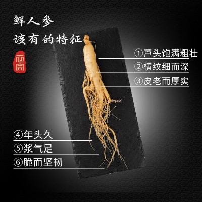 长白山人参批发人参补品东北保鲜参 泡酒煲汤一件代发源头人参图2