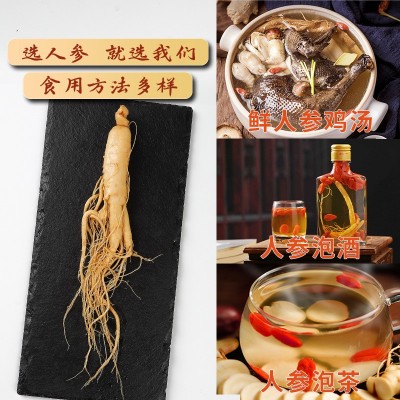 长白山人参批发人参补品东北保鲜参 泡酒煲汤一件代发源头人参图4