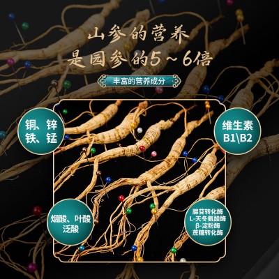 长白山人参东北山参籽料多只装小皮盒林下参干货礼盒装人参干货图5