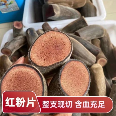 源头厂家 批发干鹿茸片 红粉片白粉片半蜡片规格齐全产地直供