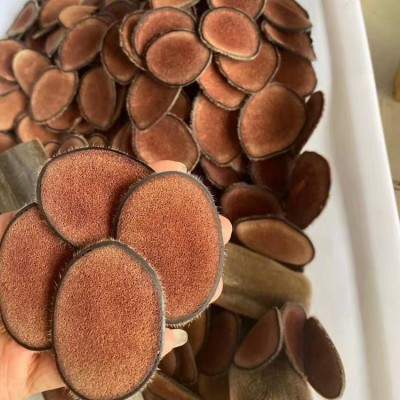 源头厂家 批发干鹿茸片 红粉片白粉片半蜡片规格齐全产地直供图5