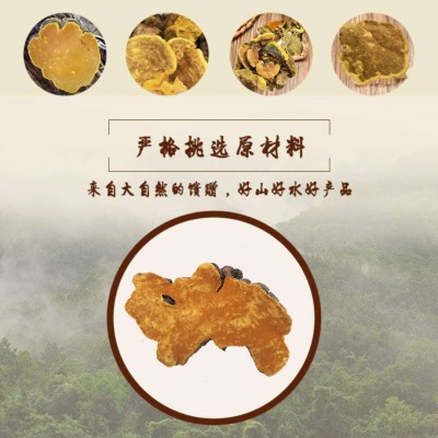 西藏桑黄灵芝 桑黄菌 金边桑黄 代切片打粉 一件代发图3