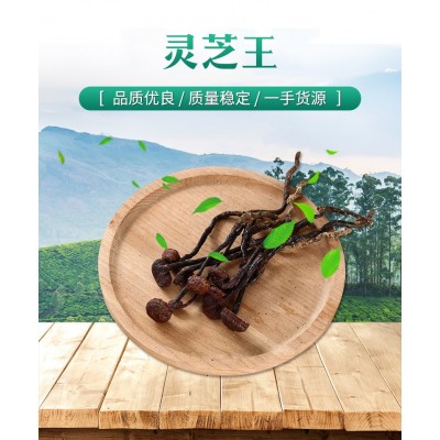 海南灵芝王 小红灵芝 竹灵芝 一手货源产地批发量大从优一件代发