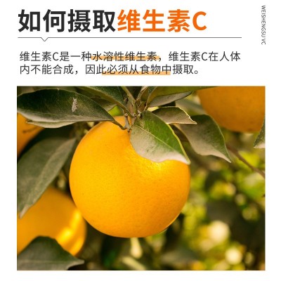 现货直播瓶装100片天然VC免疫力膳食补充香橙味咀嚼维生素C片图2