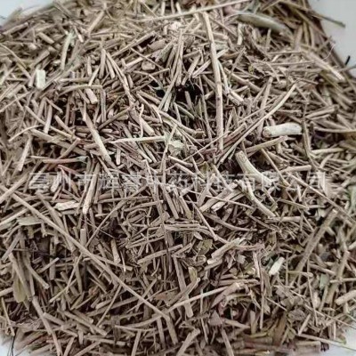 番泻叶茎秆番泻叶秆产地大货量大从优图4