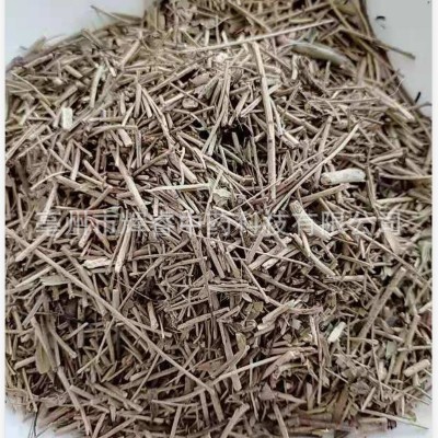 番泻叶茎秆番泻叶秆产地大货量大从优图5