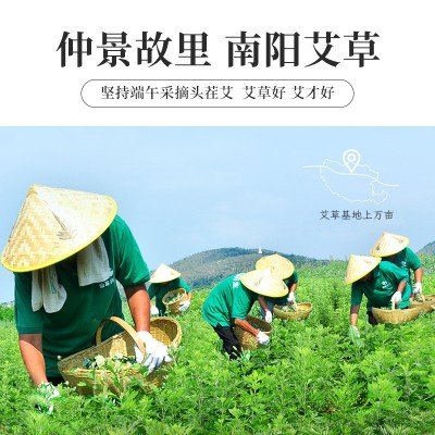 南阳仙草直销妙艾堂盒装54粒金艾柱 60:1艾绒艾草红花生姜艾灸柱图2