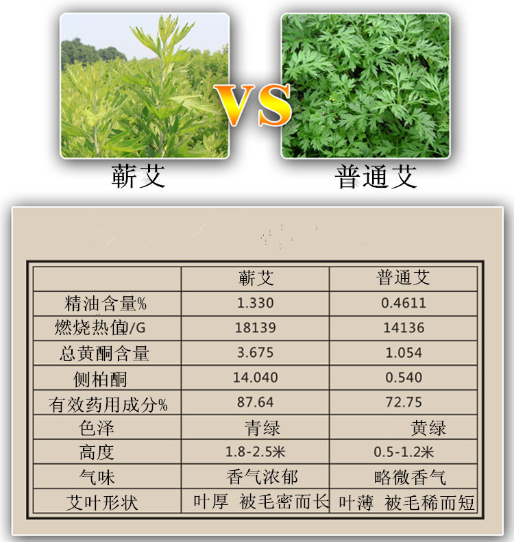 散条详情_06_副本