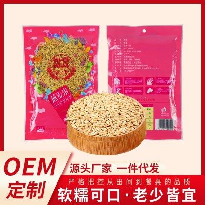 燕麦胚芽米批发 厂家直销磨皮裸燕麦430g 破壁裸燕麦米