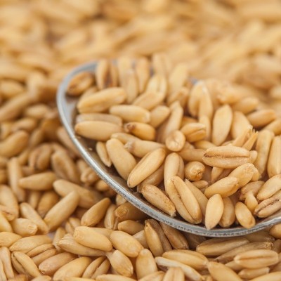 燕麦胚芽米批发 厂家直销磨皮裸燕麦430g 破壁裸燕麦米图4
