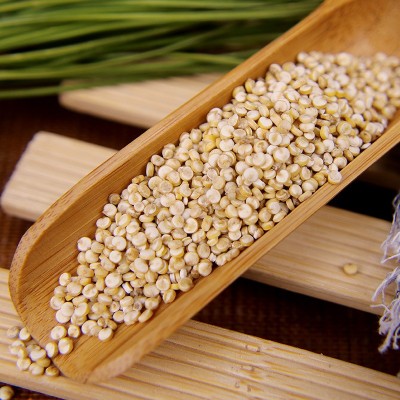 白藜麦 源头工厂分销代餐谷物 黎麦藜麦米糙米条藜现货供应500g图4