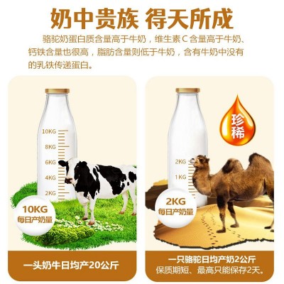 斯普瑞高钙益生菌驼奶粉中老年蛋白粉蛋白质粉驼乳粉厂家批发抖音图3