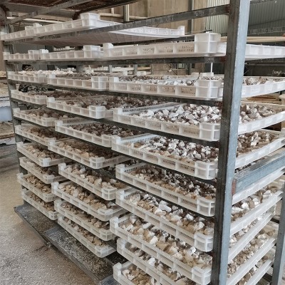 江西特产散装葛源葛粉早餐代餐粉 500g葛根粉批发葛根粉营养图4