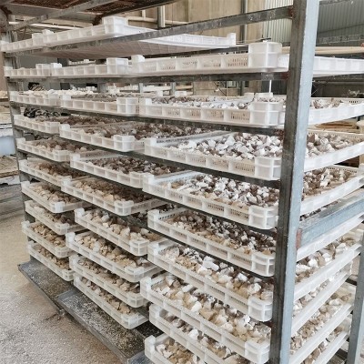 葛粉江西特产葛源葛粉240g野葛根粉柴葛粉即食冲剂代餐粉批发图2
