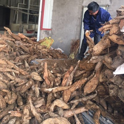 江西特产野葛粉丝火锅粉条礼盒装880g晶莹剔透久煮不烂厂家批发图4