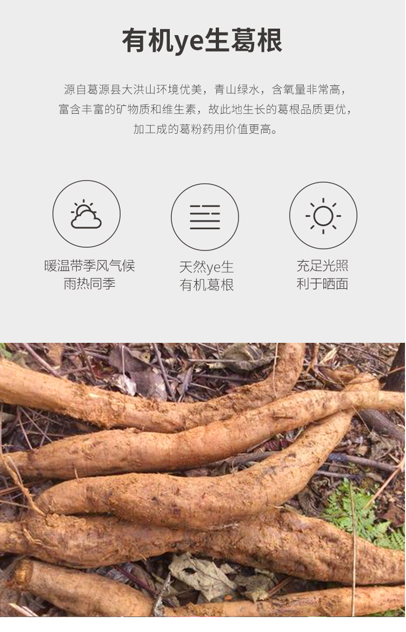 未标题-3_04.jpg