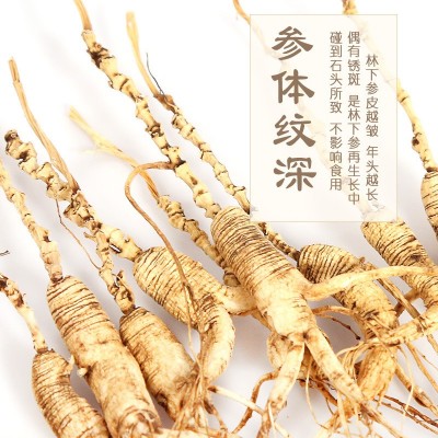 林下山参东北人参干人参生晒参全须人参带礼盒手拎兜东北特产山参图2
