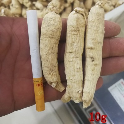 西洋参条东北长白山整枝花旗参个 一手货源实体店铺各种规格齐全