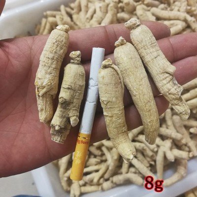 西洋参条东北长白山整枝花旗参个 一手货源实体店铺各种规格齐全图2
