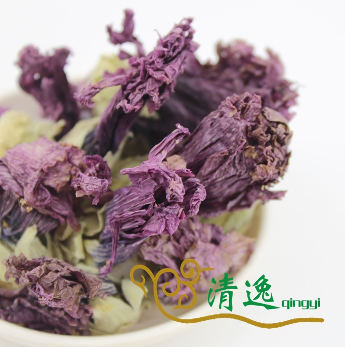 紫罗兰 (1)