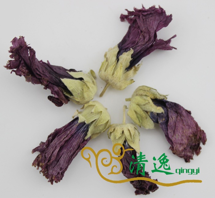 紫罗兰 (6)