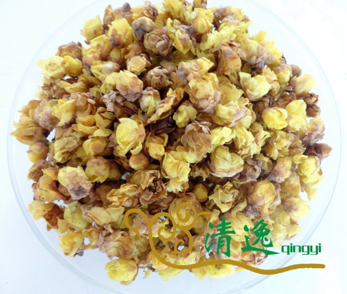 腊梅花 (3)