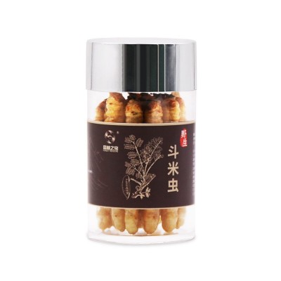 森林之宝斗米虫活体虫子午虫黄牛刺虫云实虫1条装补充白蛋白批发图2
