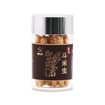 森林之宝斗米虫活体虫子午虫黄牛刺虫云实虫1条装补充白蛋白批发图3