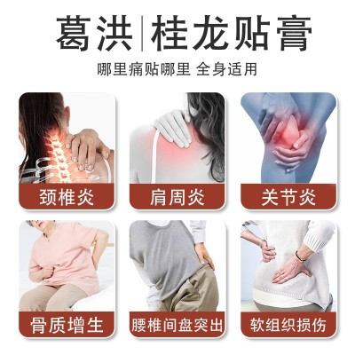 葛洪桂龙贴膏 腰椎间盘突颈椎病肩周腰椎贴 葛洪桂龙膏药冷敷贴图3