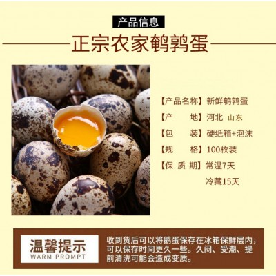 100枚 鹌鹑蛋新鲜生的农家杂粮喂养宝宝辅食产地直发破损包赔批发图2