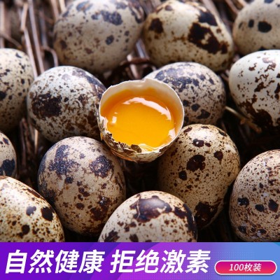 100枚 鹌鹑蛋新鲜生的农家杂粮喂养宝宝辅食产地直发破损包赔批发图4